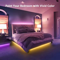 Tira de luz LED para interiores Aplicación de sincronización de música Control remoto TV PC Retroiluminación Color SMD3535 24V RGB Tira de LED inteligente