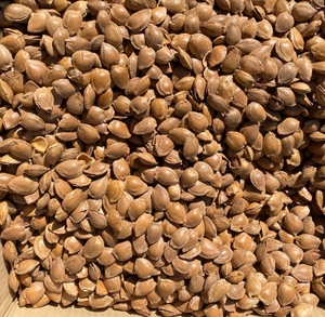 Semillas de almendras naturales secas horneadas nuevas de alta calidad con cáscaras rotas para alimentos - Product Image 2
