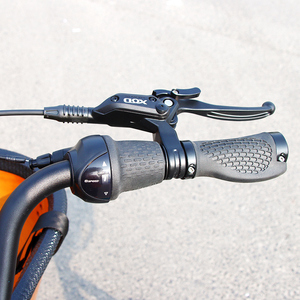 Điện Xe Ba Bánh Sidecar Điện Hàng Hóa Xe Đạp E Xe Đạp Bakfiet Trailer E-Hàng Hóa Xe Đạp Giảm xóc Hệ Thống Với Pet Dog & Mèo Sử Dụng - Product Image 6