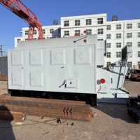Chaudière à eau chaude Yongxing DZL pour hôtel, hôpital, chauffage central industriel