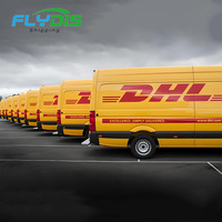 Service logistique mondial, agent d'expédition DHL, Chine vers Indonésie, Inde, Philippines, Émirats arabes unis, États-Unis, France, Pays-Bas, Italie, Espagne, Oman