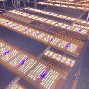 Helios 1000W Uv Led Grow Light 4-Bard Instelbaar Spectrum 35 Stuks Voorraad 0-10V Controle 120-277V Top Licht 30% Bloeiende Boost Ip65 - Product Image 1