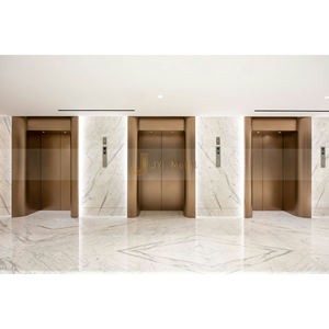 C245 panneaux métalliques en acier inoxydable revêtement ascenseur TV conceptions intérieures décoratives murs décoratifs panneaux de façade - Product Image 1