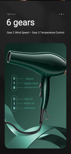 Secador de Pelo Profesional con Iones Negativos, Boquilla Concentradora, Aire Frío/Caliente, Diseño Plegable para Uso en el Hogar y Hoteles - Product Image 5