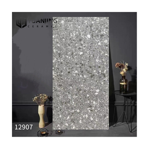 Giá rẻ terrazzo gạch thời trang nóng bán Chất lượng cao nhiều màu sứ gạch lát sàn Matte mộc mạc sứ terrazzo gạch - Product Image 5