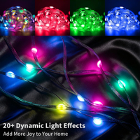 Guirlande lumineuse LED colorée étanche IP44 contrôlée par smartphone avec cordon en cuir pour la décoration de Noël