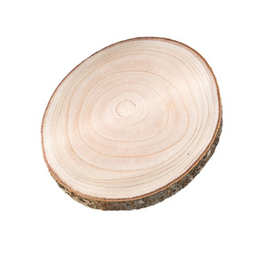 Unfinished Natural Wood Slices Lovely Painting Craft Wood Kit with Bark for DIY Christmas Ornaments Circle Crafts Themed Gift