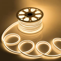 Tira de diodos emisores de luz LED flexible, impermeable, de luz blanca cálida, 220 voltios, con luz.