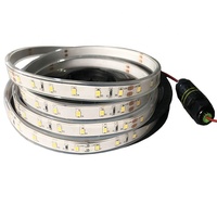 La piscine de gel de silicium ip68 imperméable à l'eau 20w flexible dimmable a mené la lumière de bande