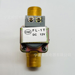 วาล์วโซลินอยด์ทองเหลือง Fl-1t แบบ DC 12v วาล์วทางเข้าสำหรับระบบควบคุม - Product Image 1