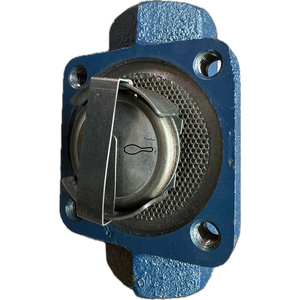 Trampa de Vapor Termostática de Presión Equilibrada Serie TS50 T-250 Horizontal, de Hierro Fundido ASTM A48, con Rosca NPT/BSPT y Junta de Grafito - Product Image 4