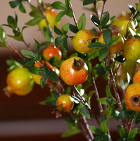 Plastic granaatappel nep fruit nieuwjaars- en dankdag explosies 6-delige bruiloft binnen decoratie milieuvriendelijke groothandel wensdecoraties