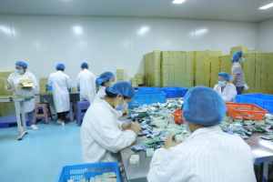 Compléments alimentaires personnalisés votre logo Comprimés de désintoxication pour la santé du foie Supplément nutritionnel pour chardon-Marie - Product Image 5