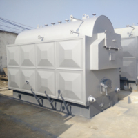 Chaudière à vapeur industrielle à circulation naturelle à biomasse, alimentée par des granulés de bois, de l'usine directe Zhongfei DZH, Max. Structure horizontale à pression de 1,6 MPa, facile