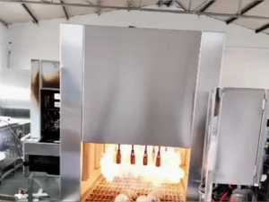 เครื่องกำจัดขน<span class=keywords><strong>หมู</strong></span>ทั้งตัวหาง<span class=keywords><strong>หมู</strong></span>อเนกประสงค์ - Product Image 2