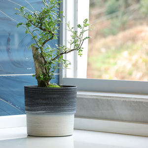 Leizisure, macetas rústicas orientales <span class=keywords><strong>De</strong></span> alta calidad, macetas <span class=keywords><strong>De</strong></span> plástico, macetas <span class=keywords><strong>De</strong></span> plástico <span class=keywords><strong>de</strong></span> cilindro redondo para decoración <span class=keywords><strong>De</strong></span> Escritorio - Product Image 2