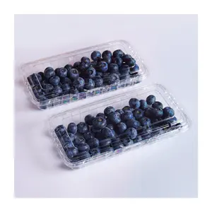 Rectangle PET clamshell 250g blueberry container fresh blueberries plastic boxes for packaging fruit