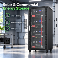 Armoire de batterie LiFePO4 64 kWh 51,2 V 280 Ah 314 Ah à montage en rack avec BMS 200 A CAN RS485 pour stockage d'énergie solaire