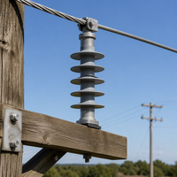 Isolateur composite haute tension personnalisé en caoutchouc silicone polymère de type poteau pour ligne de distribution aérienne 11kV 33kV