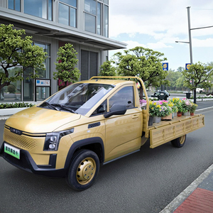 Chine Mini camionnette électrique 4x4 avec grand essieu arrière porteur véhicule à énergie nouvelle pour petite cargaison nouvelle version - Product Image 1