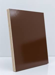 Contreplaqué filmé en bois d'hévéa et eucalyptus, moderne, première qualité, poncé des deux côtés, fournisseur en gros de haute qualité - Product Image 5