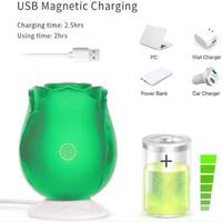 Vibrateur en silicone rose alimenté par USB, sans danger pour le corps, 10 fréquences, 100% étanche, sensation de toucher réel, vibrateur lumineux en forme de fleur