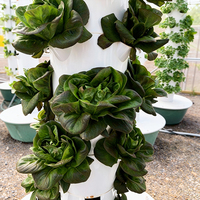 Système d'irrigation commercial DWC pour hydroponie, équipement de culture verticale en tour, agriculture à haute rigidité, culture facile des plantes à feuilles