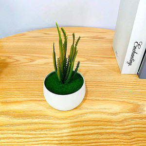 Planta Suculenta Artificial Qi Xing en Maceta de 19 cm, PVC Suave, Decoración para el Hogar - Product Image 3