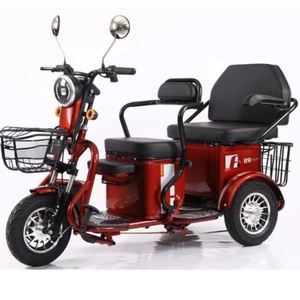Triciclo Eléctrico Plegable para Adultos, 48V 500W, Alcance de 50km, Motor sin Escobillas, para Tres Personas, Certificado CE, Venta al Por Mayor - Product Image 1