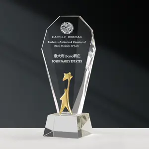 도매 크리 에이 티브 Crysta 메달 회사 연례 회의 기념품 맞춤형 크리스탈 유리 트로피