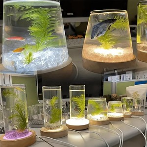 Crystal ball with lamp base round crystal aromatherapy stone luminous wooden lamp holder solid <b>wood</b> luminous night light base - Product Image 2