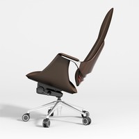 Chaise d'ordinateur de conférence d'ascenseur d'acier inoxydable de chaise de personnel de bureau de conception moderne de haute qualité pour le patron de chambre à coucher à la maison