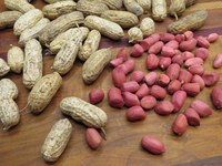 Arachides fraîches biologiques en coque, qualité alimentaire, origine américaine, emballage en vrac et personnalisation disponibles, qualité supérieure, best-seller