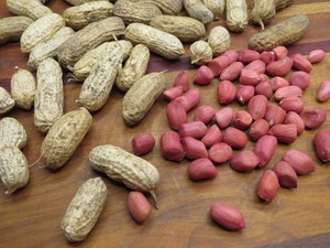 Best Selling Organic <b>Raw</b> Peanuts Food Grade US Origin Bulk <b>Packaging</b> & Customization Available Premium Quality - Product Image 2