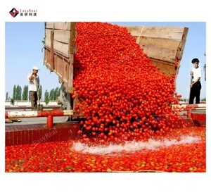 Ligne <span class=keywords><strong>de</strong></span> traitement <span class=keywords><strong>de</strong></span> tomates séchées petite machine <span class=keywords><strong>de</strong></span> traitement <span class=keywords><strong>de</strong></span> tomates personnalisable approvisionnement en usine usine usine <span class=keywords><strong>de</strong></span> pâte <span class=keywords><strong>de</strong></span> tomates - Product Image 3