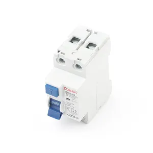 Reststroom Hot Koop 10a 16a 25a Mob 30ma 10ka 2, 4 63A 4000 Aardlekschakelaar Doen Elektronische Type 2P 16a Gedicht Rcd 240/415V KNL5-63E Xlk