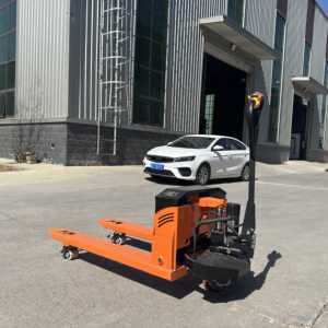 Camión de mano eléctrico de 2 toneladas y 3 toneladas, Manual carro hidráulico, pequeño elevador de mano, camión de mano para industrias de restaurantes, nuevo