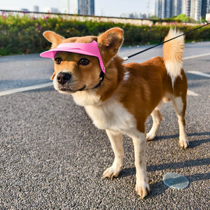 Gorras <span class=keywords><strong>de</strong></span> visera <span class=keywords><strong>de</strong></span> refrigeración para cachorros <span class=keywords><strong>de</strong></span> verano para mascotas pequeñas, medianas y cómodas con correa ajustable para perros y gatos - Product Image 2