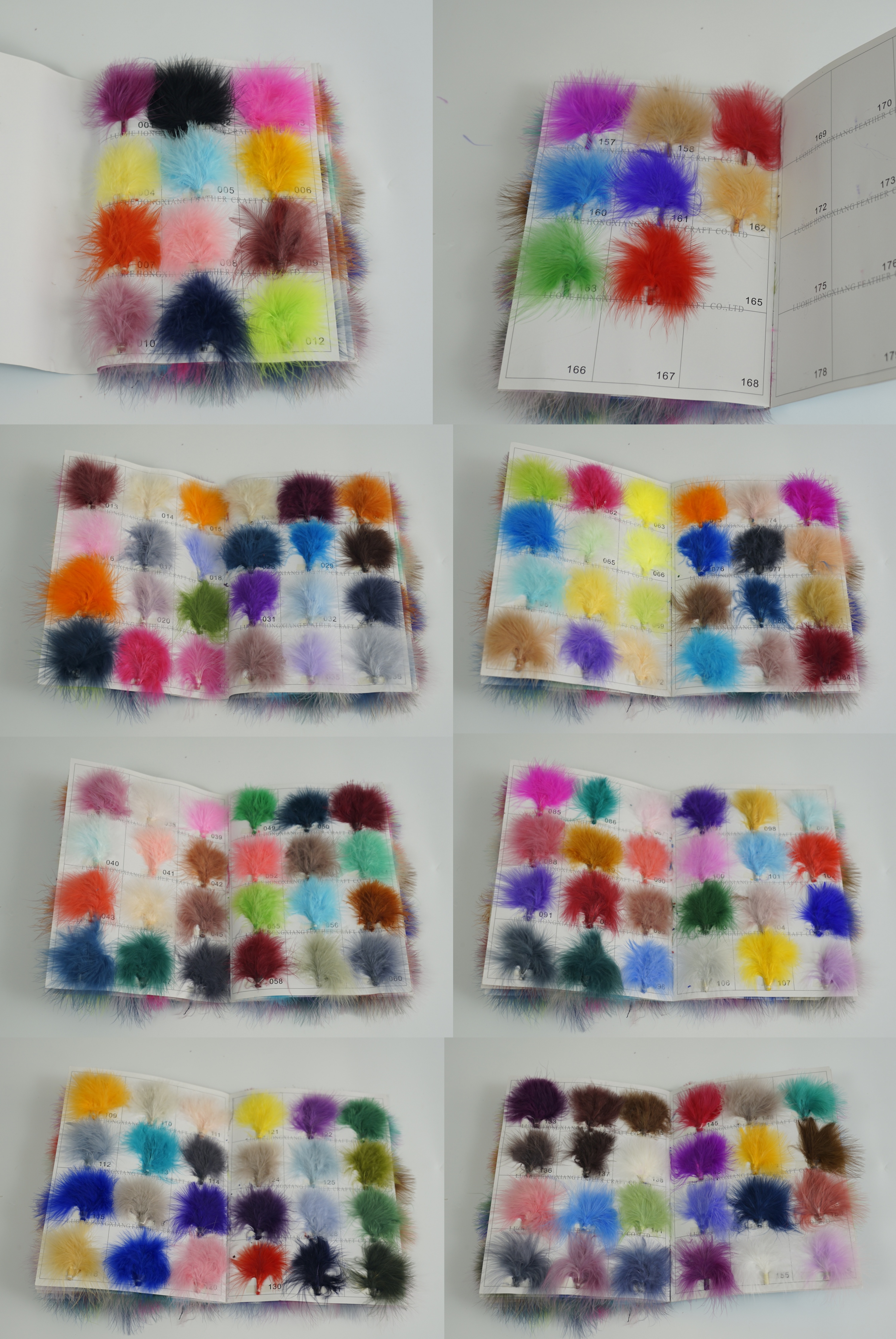 Colori