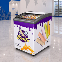 Congélateur vitrine à crème glacée mini, à refroidissement direct, à température unique, de haute qualité, à usage commercial, en verre