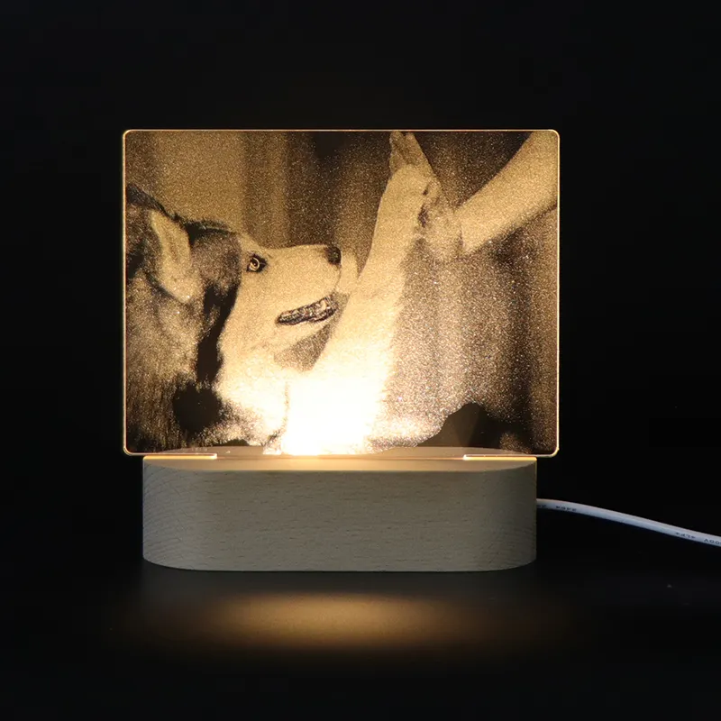 허스키 개 3d 밤 램프 USB 충전 Led 밤 빛 동물 3D 테이블 램프