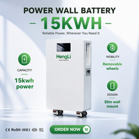 Batterie LiFePO4 15-16 kWh à sortie d'usine, 51,2 V 314 Ah, 10 000 cycles, cellules de qualité A, stockage d'énergie domestique pour systèmes solaires 6-20 kW