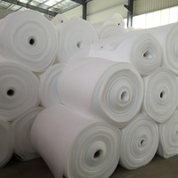 Tapis de couchage en mousse EPE 250 faisant la ligne d'extrudeuse de matelas de sol africain