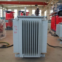 Premium Düşük Kayıplı 3 Fazlı Güç S13-M-400 400kVA 10kV/0.4kV Dış Mekan Yağlı Tip Dağıtım Trafosu 5 Kademeli Tapalı