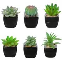 Mini piante succulente artificiali verdi assortite in ceramica quadrata bianca/nera in vaso
