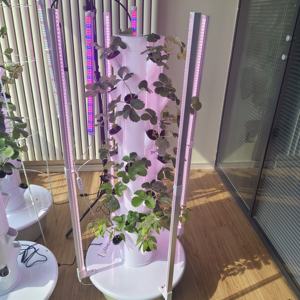 نظام زراعة مائية عمودي للفراولة، برج زراعي داخلي وخارجي - Product Image 2