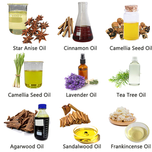Foglie di Rosmarino Essiccate di Alta Qualità, Materia Prima per <span class=keywords><strong>Olio</strong></span> Essenziale Antiossidante <span class=keywords><strong>e</strong></span> Produzione di Estratti Cosmetici - Product Image 6