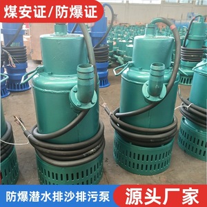ปั๊มจุ่มใต้น้ำ Bqs80 190 90kw ปั๊มดูดน้ำทรายป้องกันการระเบิดสำหรับงานเหมือง สำหรับการระบายน้ำจากบ่อน้ำลึก - Product Image 3