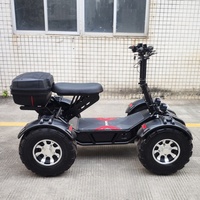 Patinete eléctrico plegable de golf de 4 ruedas, pantalla de 10000W, neumáticos todoterreno/césped, capacidad de batería de litio de 60ah, nombre del producto carrito de golf