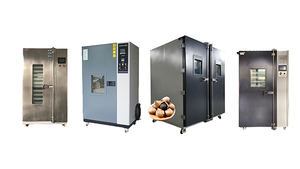 Venta caliente de fábrica 100 Kg 200kg Producción coreana Caja de fermentación de ajo negro Máquina de ajo negro - Product Image 5